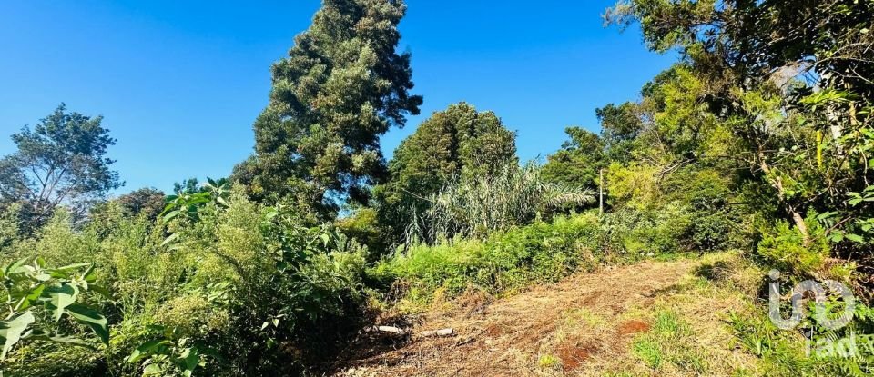 Terreno rústico em Santana de 2 370 m²
