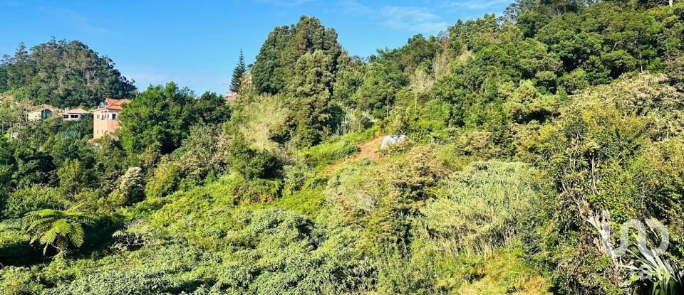 Terreno rústico em Santana de 2 370 m²