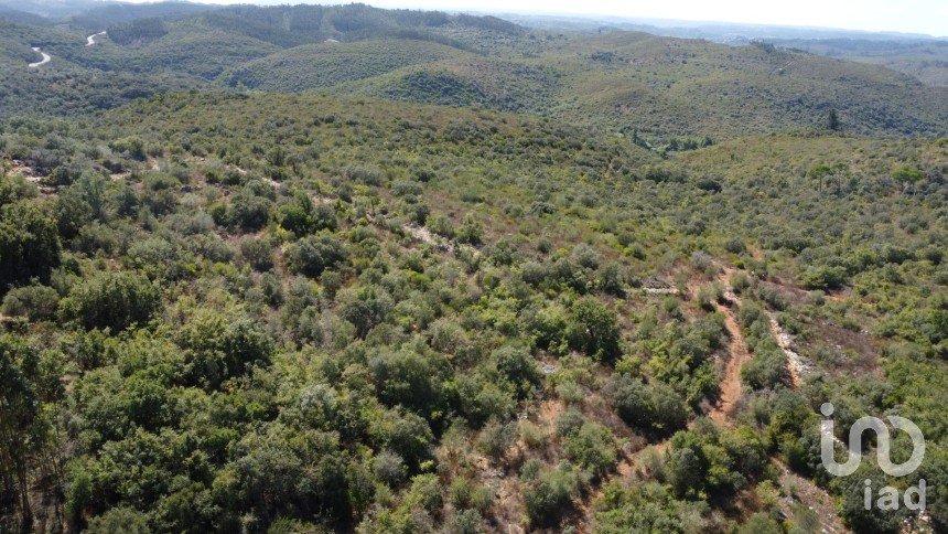 Land in Freixianda, Ribeira do Fárrio e Formigais of 15,939 m²