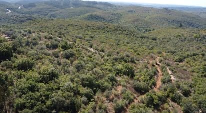 Terrain à Freixianda, Ribeira do Fárrio e Formigais de 15 939 m²