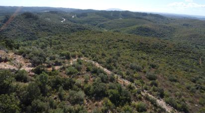 Terrain à Freixianda, Ribeira do Fárrio e Formigais de 15 939 m²