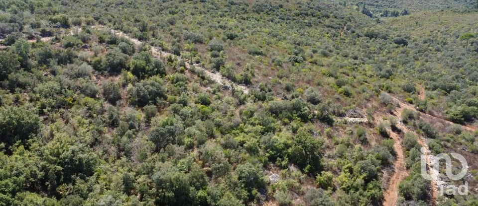 Land in Freixianda, Ribeira do Fárrio e Formigais of 15,939 m²