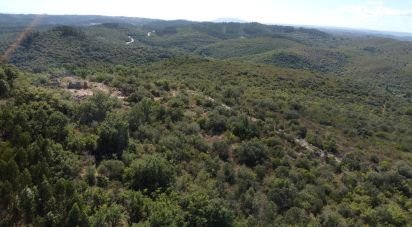 Terrain à Freixianda, Ribeira do Fárrio e Formigais de 15 939 m²