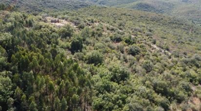 Terrain à Freixianda, Ribeira do Fárrio e Formigais de 15 939 m²