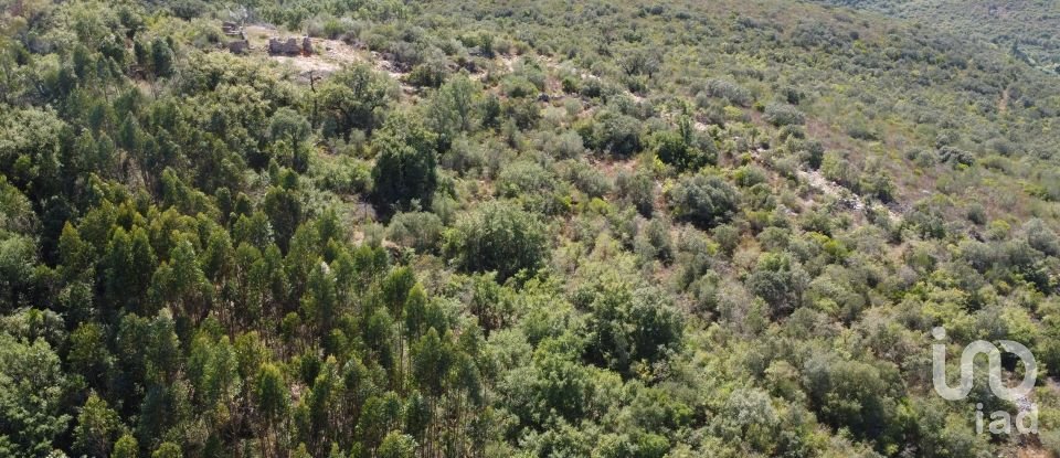 Land in Freixianda, Ribeira do Fárrio e Formigais of 15,939 m²