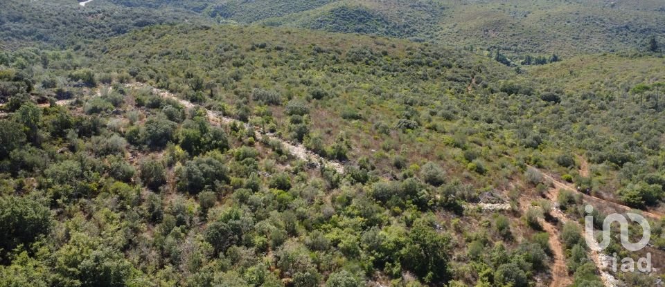 Land in Freixianda, Ribeira do Fárrio e Formigais of 15,939 m²