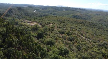 Terrain à Freixianda, Ribeira do Fárrio e Formigais de 15 939 m²