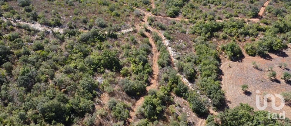 Land in Freixianda, Ribeira do Fárrio e Formigais of 15,939 m²