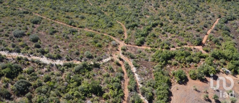 Land in Freixianda, Ribeira do Fárrio e Formigais of 15,939 m²