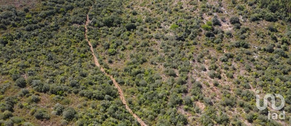 Land in Freixianda, Ribeira do Fárrio e Formigais of 15,939 m²