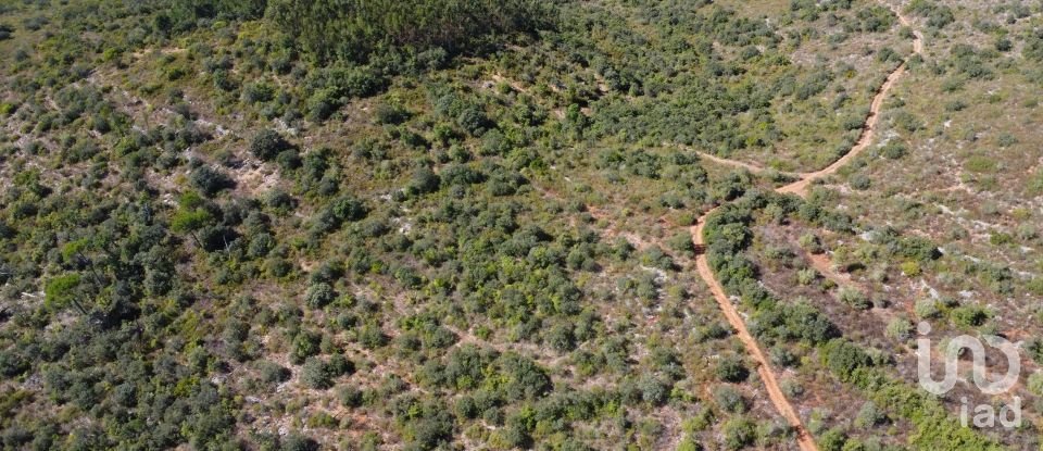 Land in Freixianda, Ribeira do Fárrio e Formigais of 15,939 m²