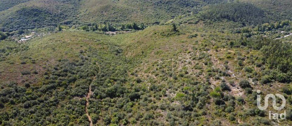 Land in Freixianda, Ribeira do Fárrio e Formigais of 15,939 m²