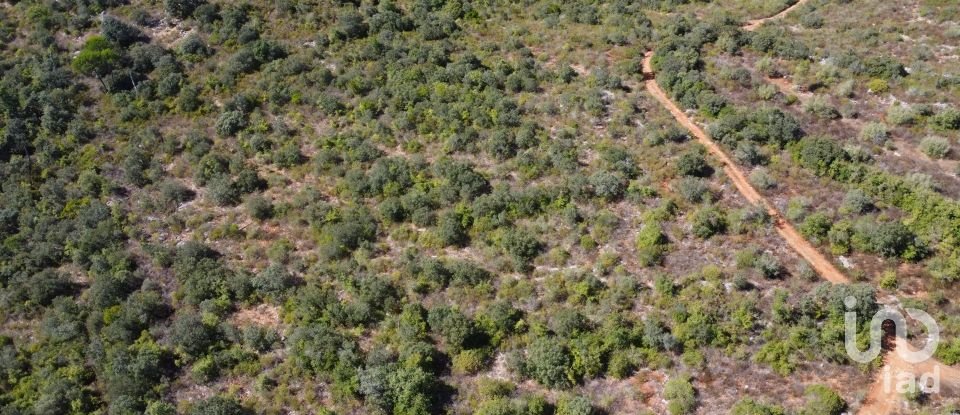 Land in Freixianda, Ribeira do Fárrio e Formigais of 15,939 m²