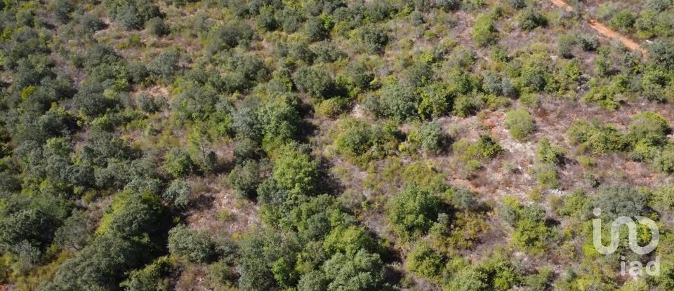 Land in Freixianda, Ribeira do Fárrio e Formigais of 15,939 m²