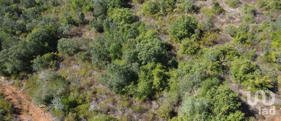 Land in Freixianda, Ribeira do Fárrio e Formigais of 15,939 m²