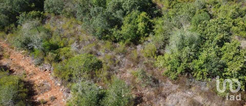 Land in Freixianda, Ribeira do Fárrio e Formigais of 15,939 m²