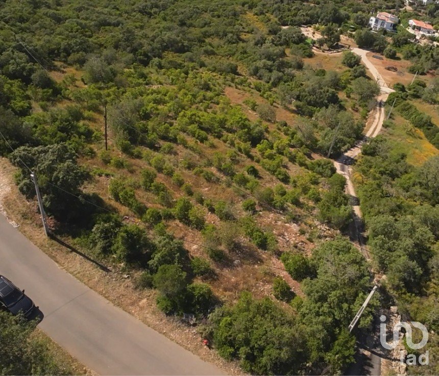 Terrain à Conceição e Estoi de 7 320 m²