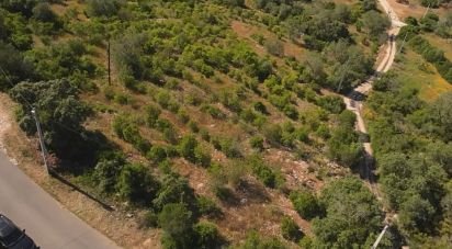 Terrain à Conceição e Estoi de 7 320 m²