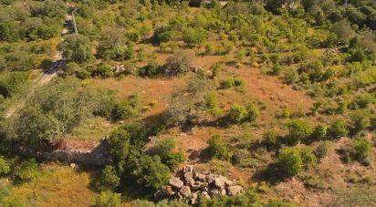 Land in Conceição e Estoi of 7,320 m²