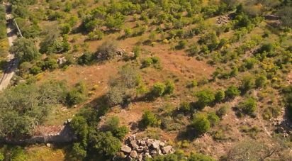 Terrain à Conceição e Estoi de 7 320 m²