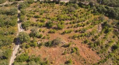 Terrain à Conceição e Estoi de 7 320 m²