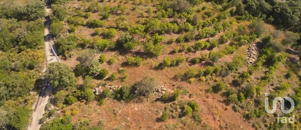 Terrain à Conceição e Estoi de 7 320 m²