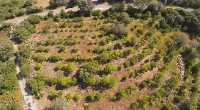 Land in Conceição e Estoi of 7,320 m²