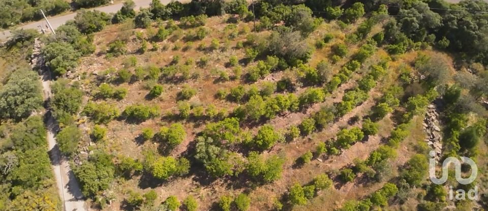 Terrain à Conceição e Estoi de 7 320 m²