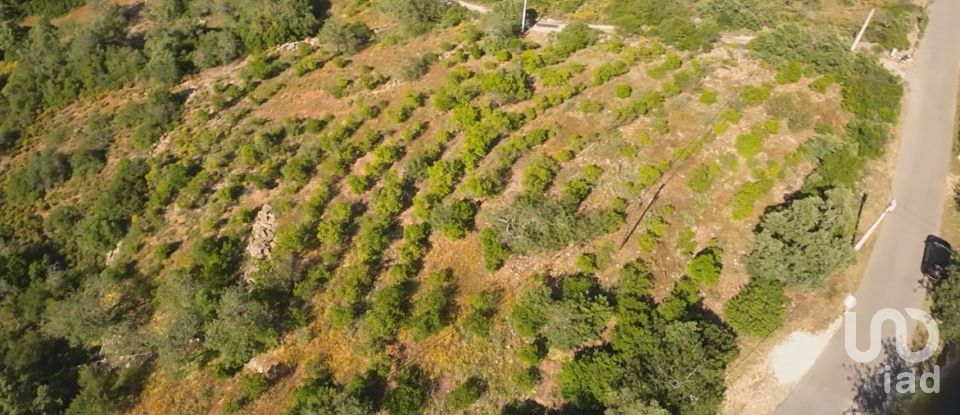 Terrain à Conceição e Estoi de 7 320 m²