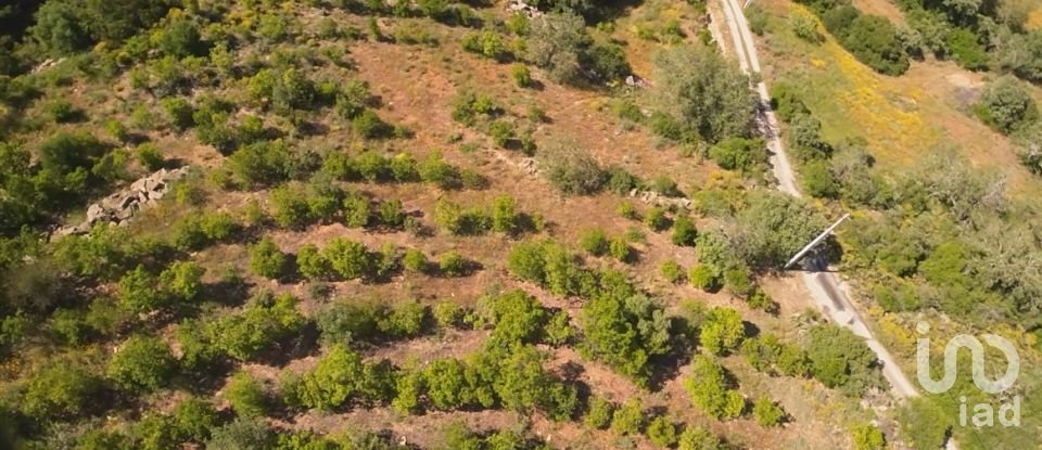 Terrain à Conceição e Estoi de 7 320 m²