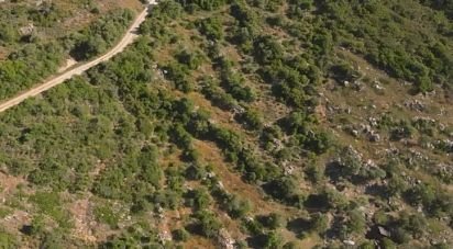 Land in Conceição e Estoi of 6,240 m²