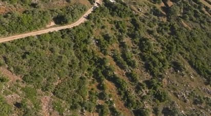 Terrain à Conceição e Estoi de 6 240 m²