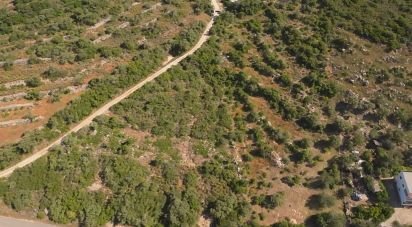 Terrain à Conceição e Estoi de 6 240 m²