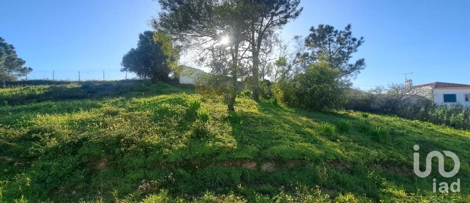 Moradia T2 em Ericeira de 214 m²