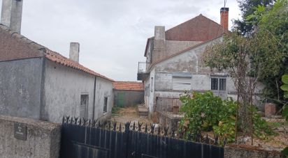 Domaine T5 in João Antão of 228 m²