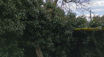 Bâtiment à Provesende, Gouvães do Douro e São Cristóvão do Douro de 269 m²