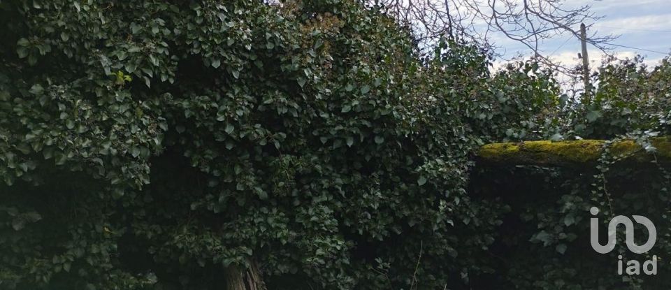 Block of flats in Provesende, Gouvães do Douro e São Cristóvão do Douro of 269 m²