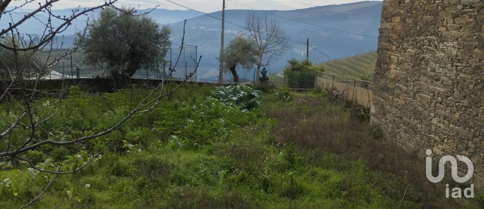 Block of flats in Provesende, Gouvães do Douro e São Cristóvão do Douro of 269 m²