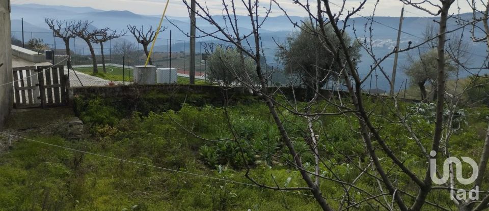 Block of flats in Provesende, Gouvães do Douro e São Cristóvão do Douro of 269 m²