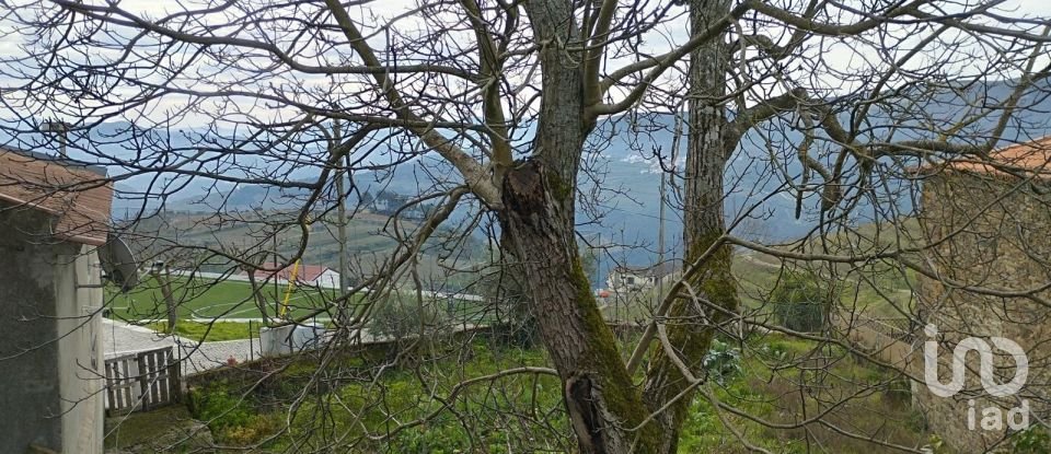 Block of flats in Provesende, Gouvães do Douro e São Cristóvão do Douro of 269 m²