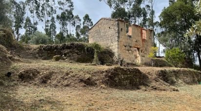 Maison T0 à Lamas de 65 m²