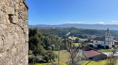 Maison T0 à Lamas de 65 m²