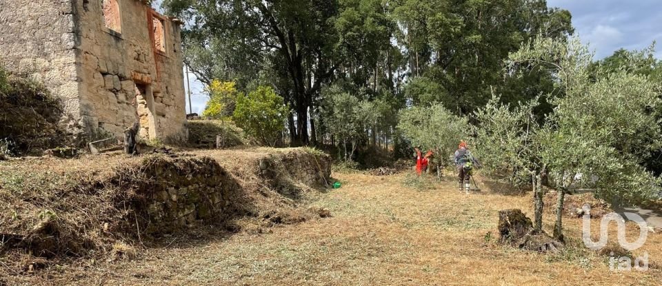 House T0 in Lamas of 65 m²