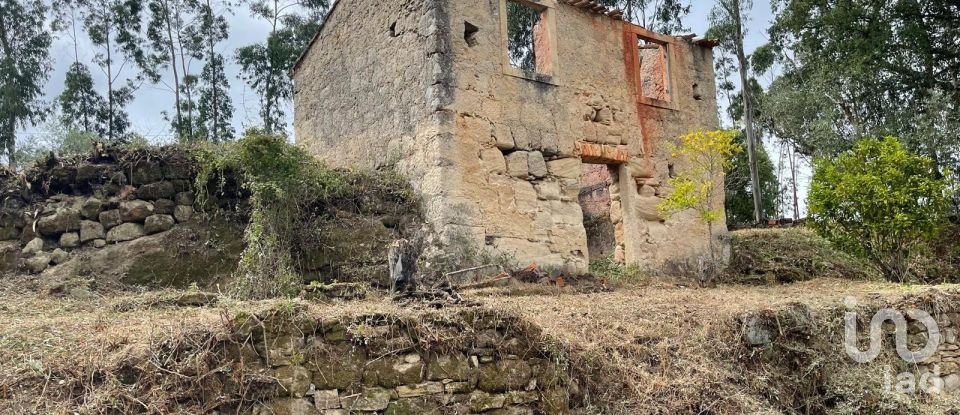 House T0 in Lamas of 65 m²