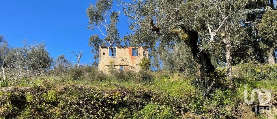 House T0 in Lamas of 65 m²