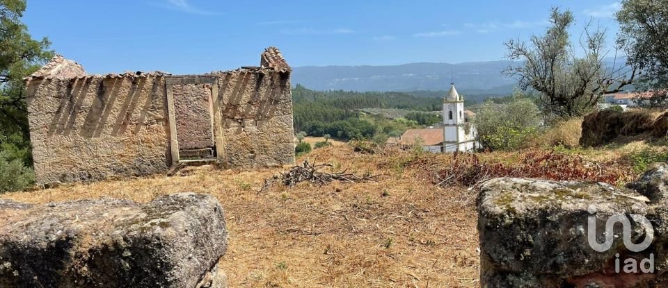 House T0 in Lamas of 65 m²