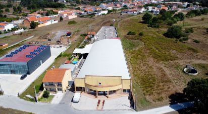 Pavilion T0 in Mira of 924 m²