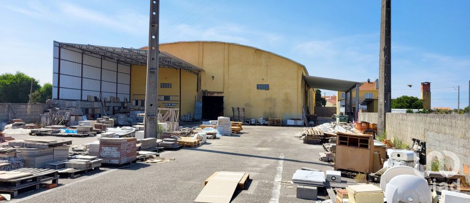 Pavilion T0 in Mira of 924 m²