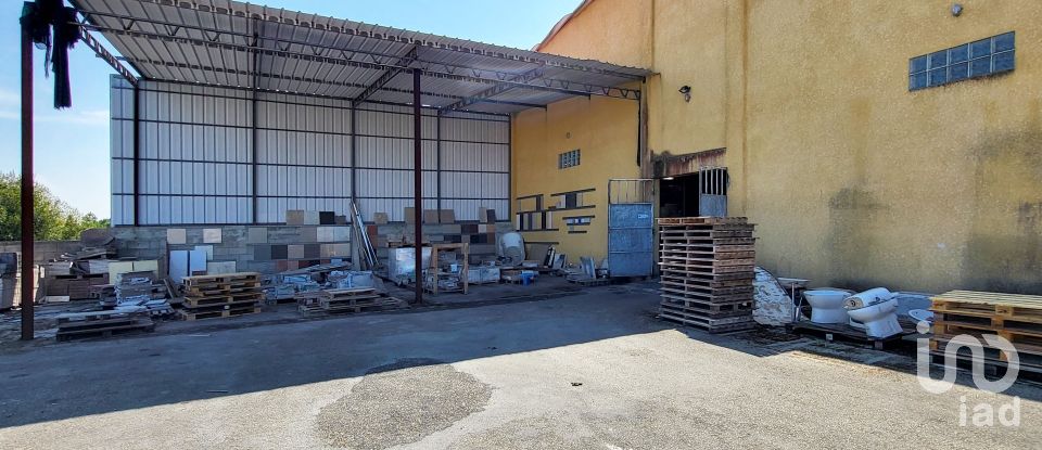 Pavilion T0 in Mira of 924 m²