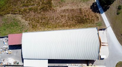 Pavilion T0 in Mira of 924 m²